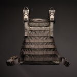 Task Force IBSS | RBSS Repro